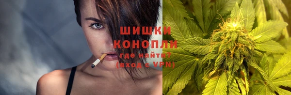 сатива Абинск