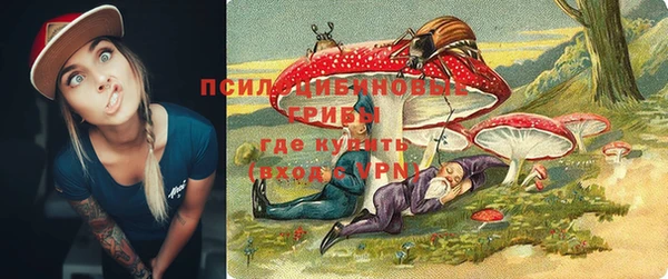 сатива Абинск