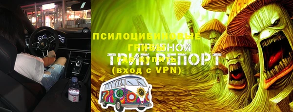 сатива Абинск
