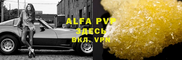 сатива Абинск
