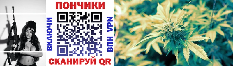 Каннабис SATIVA & INDICA  Староминская 